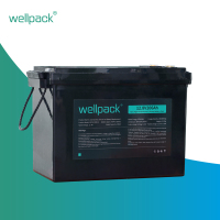 Lead-acid to Lithium Battery Replacement WPG12200-01