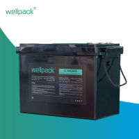 Lead-acid to Lithium Battery Replacement WPG12200-01