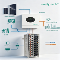 Conjunto de baterias de armazenamento de energia de alta tensão para montagem em rack WPC50-01
