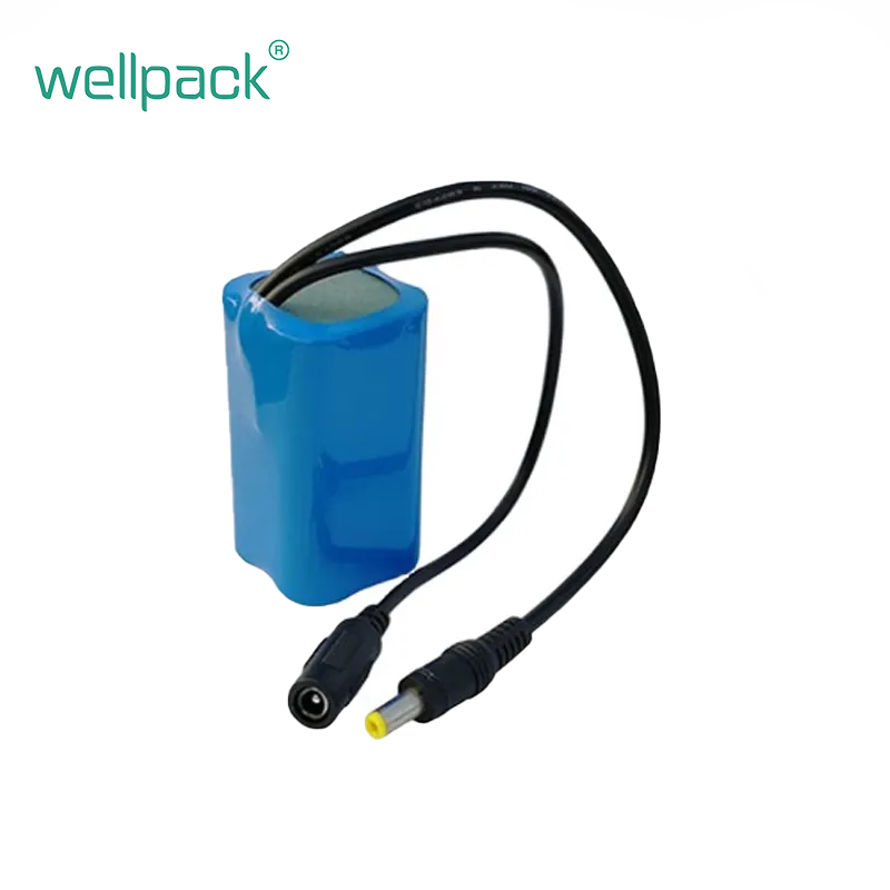 Offerta imperdibile: batteria da 24V10Ah personalizzata per bici elettrica o scooter elettrico.