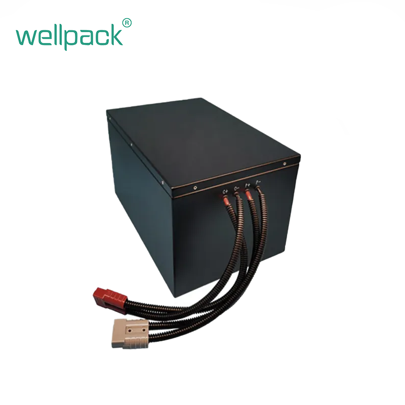 Batteria industriale agli ioni di litio per carrelli elevatori da 48V 60Ah