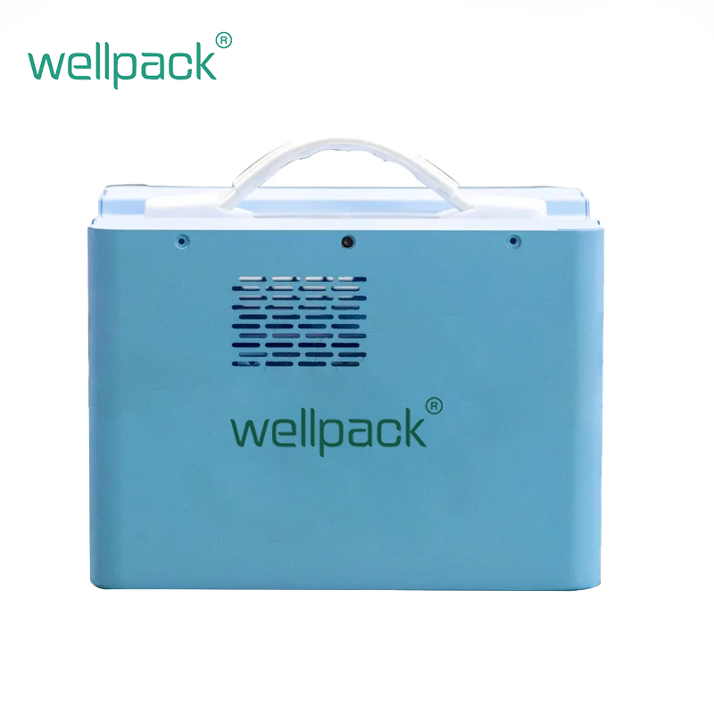 Station d'alimentation portable 600 W pour le camping (WPP 600)