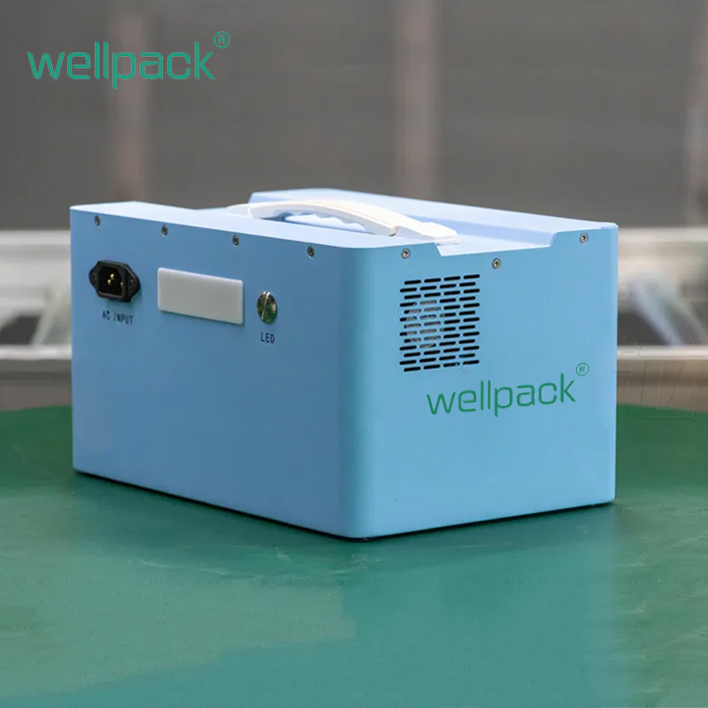 Station d'alimentation portable 600 W pour le camping (WPP 600)