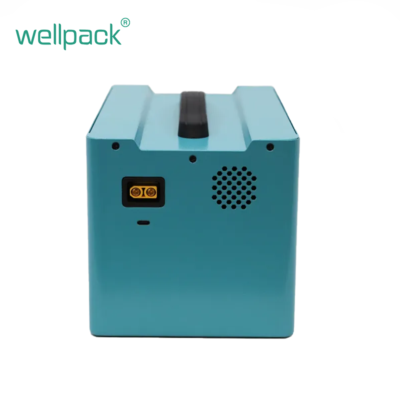 Station d'alimentation portable LiFePO4 600 W idéale pour le camping