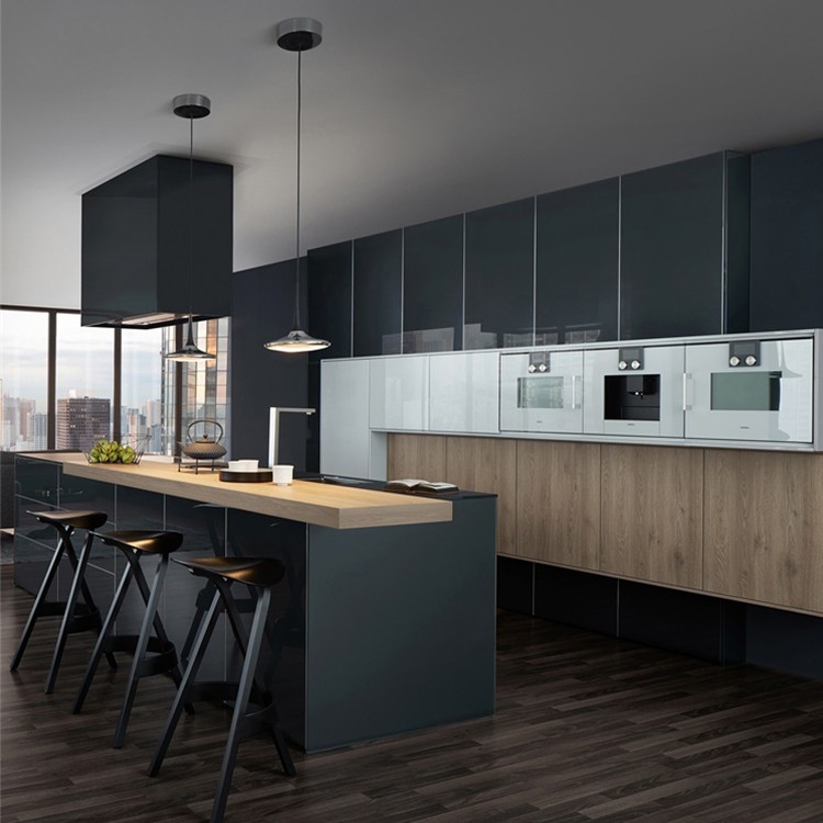 Modern Black Matte Acrylic Kitchen Design China Manufacturer