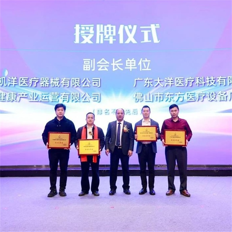 Dayang Group Assists Regional Industrial Upgrade, Co-creating a High-Quality Development Blueprint for Rehabilitation Assistive Devices