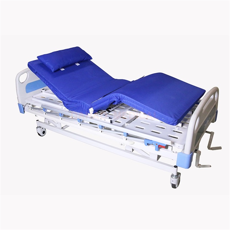 Two Functions Electric Home Care Bed
