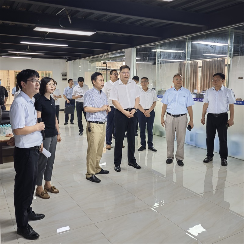 Mayor Bai Tao led a team to DAYANG MEDICAL for a research on digital and intelligent transformation and upgrading.