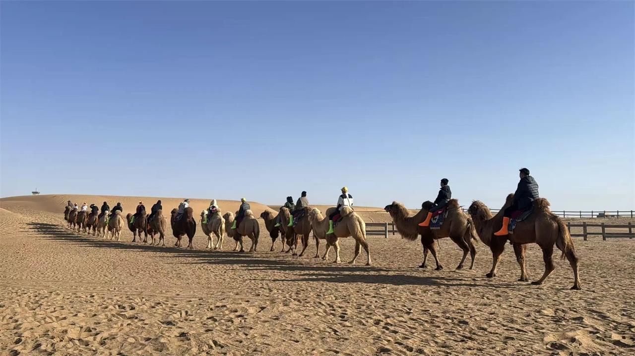 rehabilitation equipment rehabilitation equipment