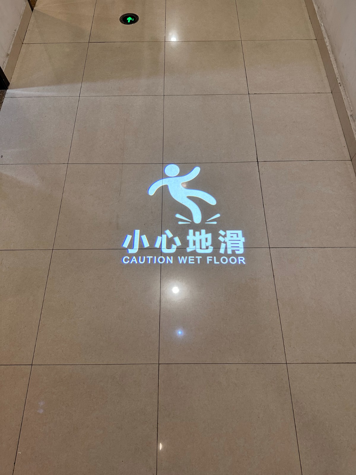 LED Projection Lamp
