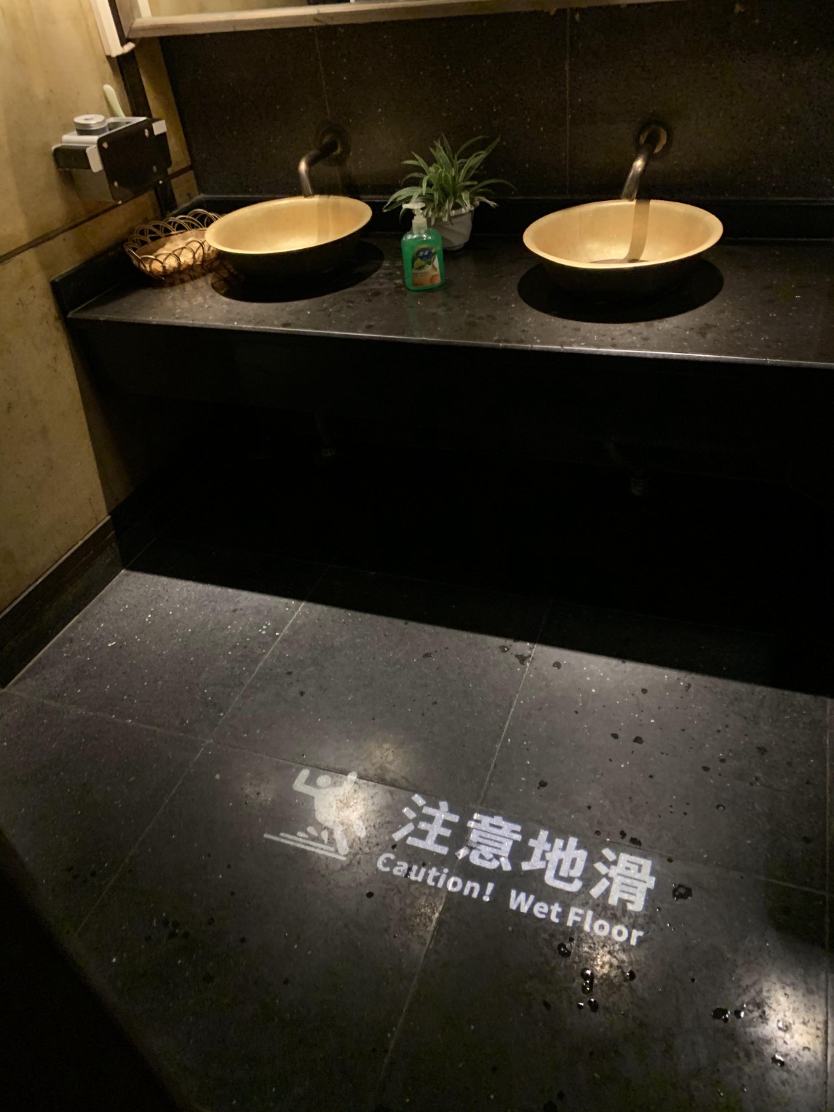 Gobo Projector