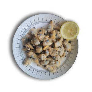 Frozen Boiled IQF Short Necked Clam Meat