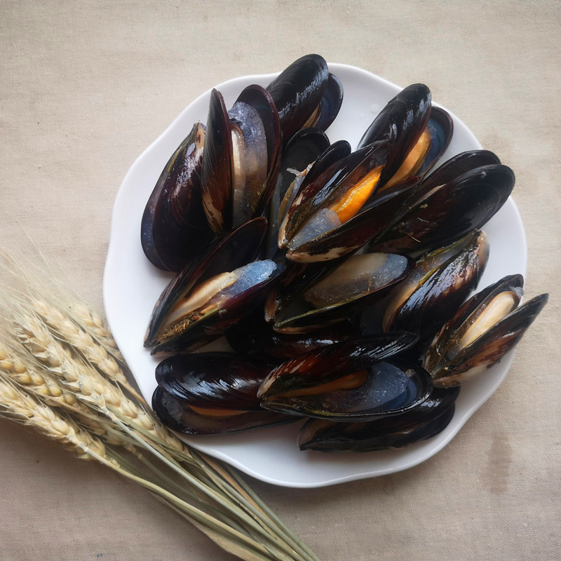 frozen boiled whole shell mussel