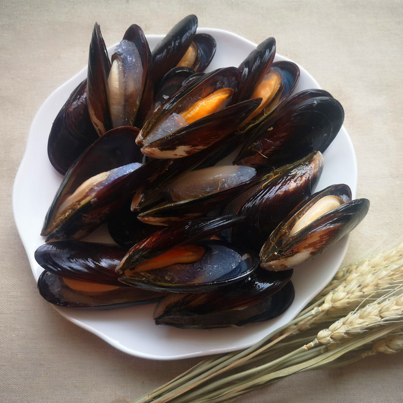 whole shell blue mussel