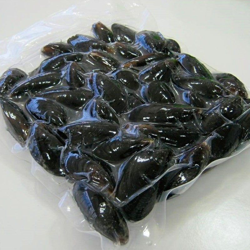 Frozen Boiled Vacuum Packed Whole Shell Mussel