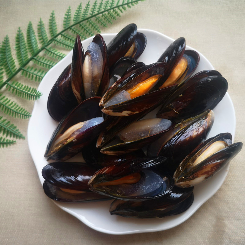 frozen cooked blue mussel with half shell