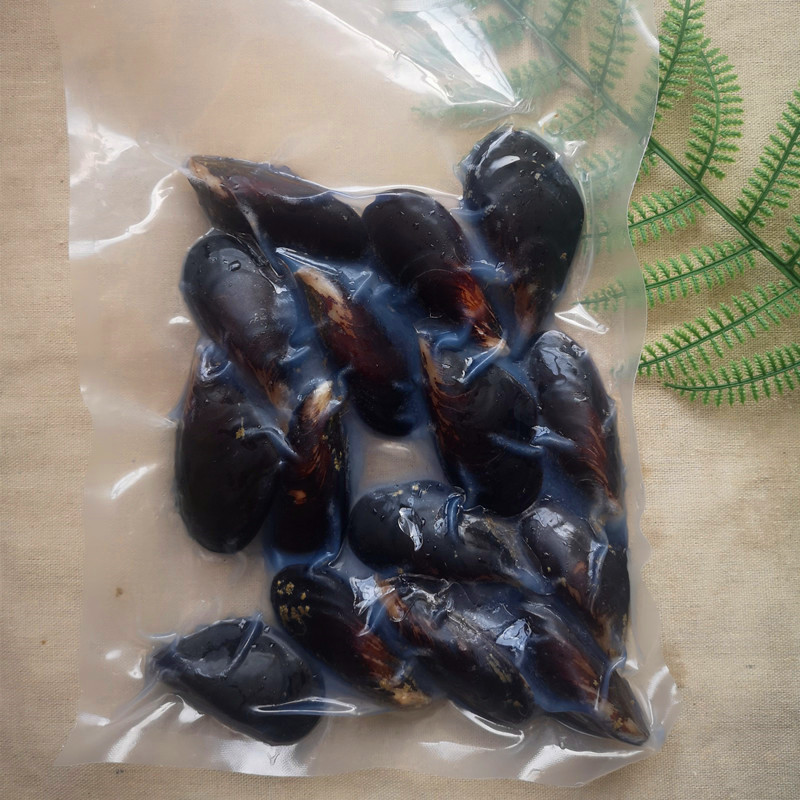 half shell blue mussel