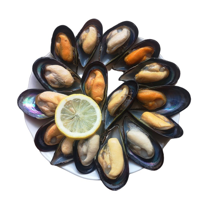 Frozen Cooked Mussel With Half Shell Factory