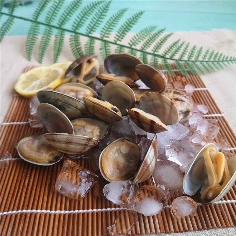 New Season Cooked Short Necked Clam With Shell Factory