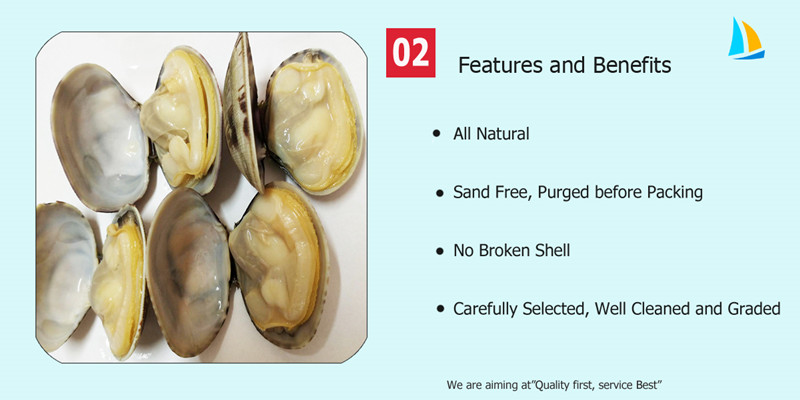 frozen cooked clam