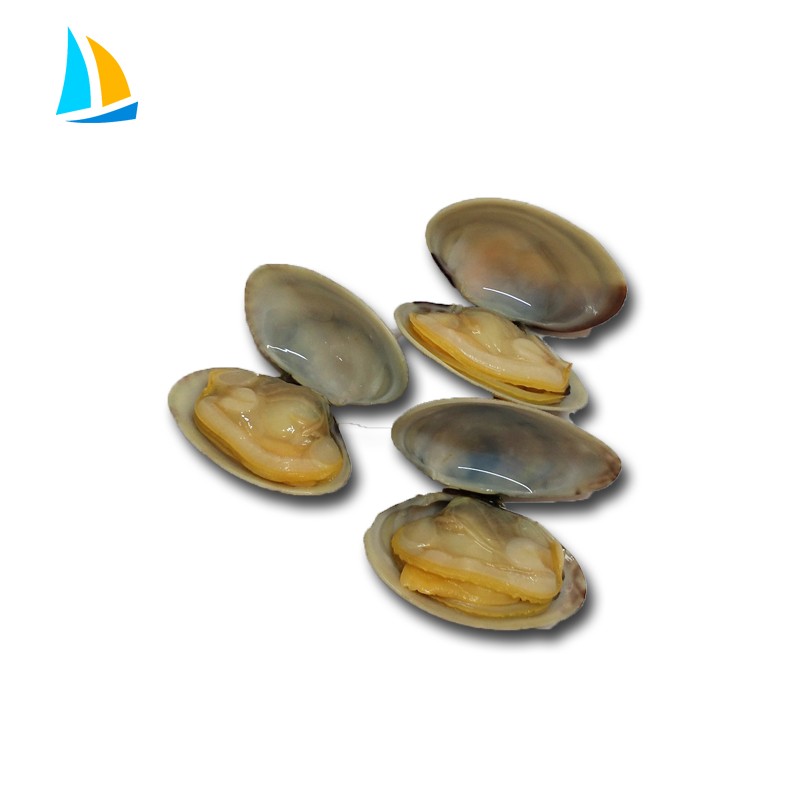 Frozen Boiled IQF Flower Clam With Shell