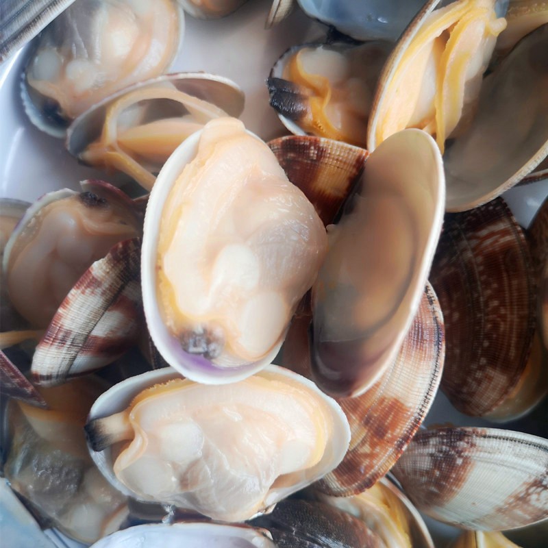 Frozen Boiled IQF Flower Clam With Shell Factory