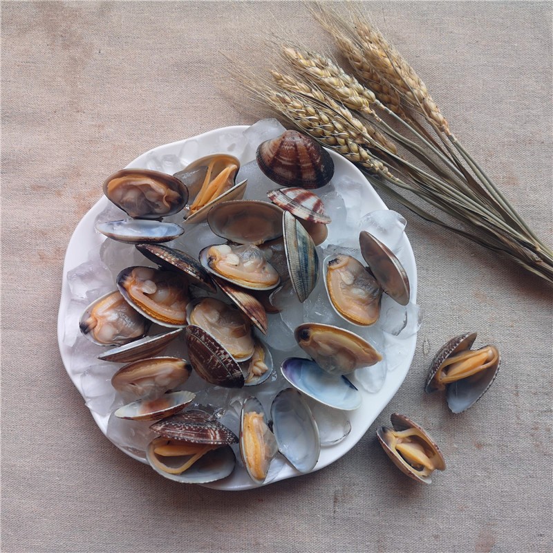 Frozen Boiled Asari Clam With Shell Factory