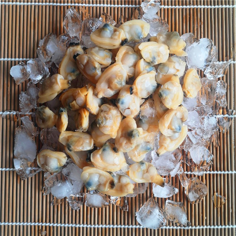 Frozen Boiled Yellow Clam Meat Factory