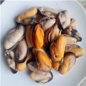 Frozen Vacuum Packed Iqf Mussel Meat