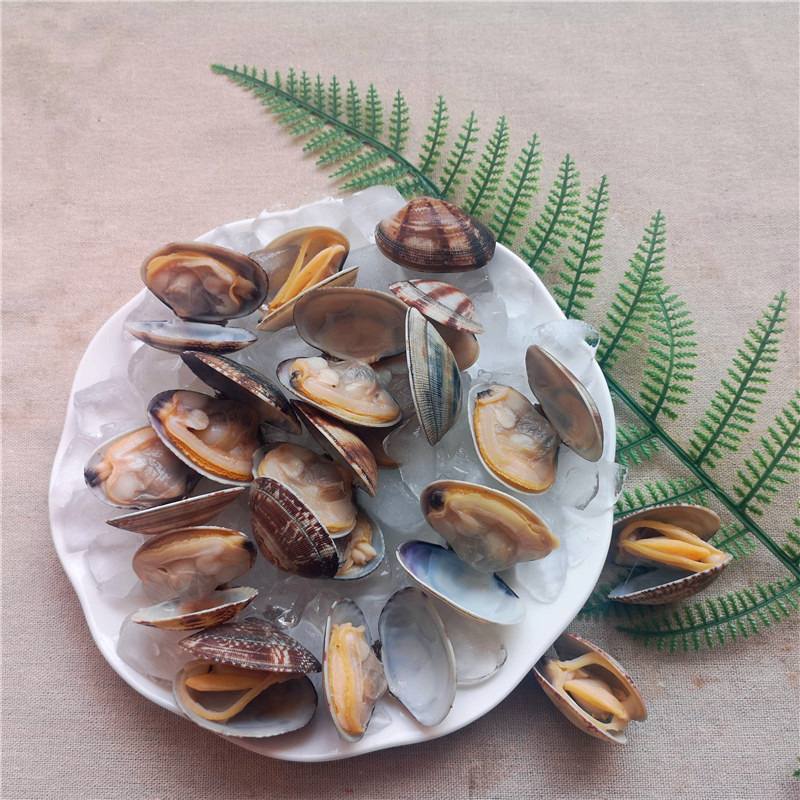little neck clam meat