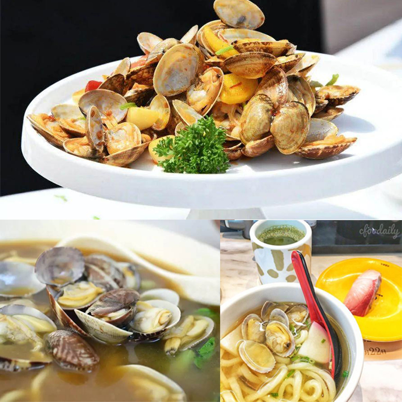 frozen cooked flower clam with shell