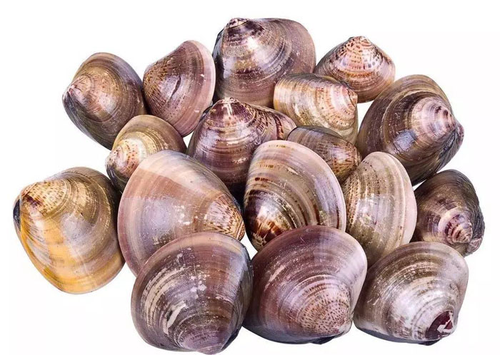 SẢN PHẨM MỚI SẠCH CỨNG