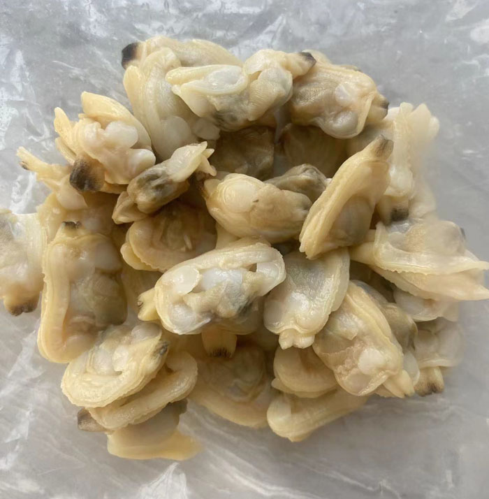 FROZEN BOILED BABY CLAM MEAT ON SALE