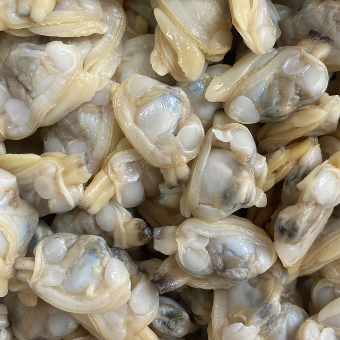 New season clam meat 300-500