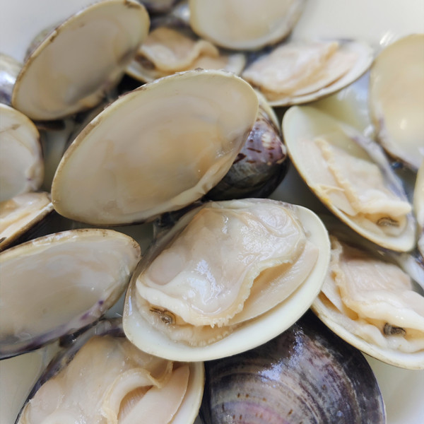 New season frozen boiled hard clam