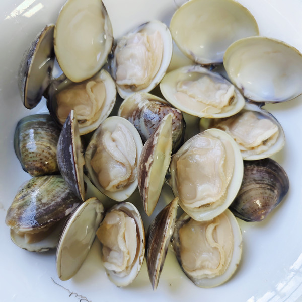 frozen boiled hard clam