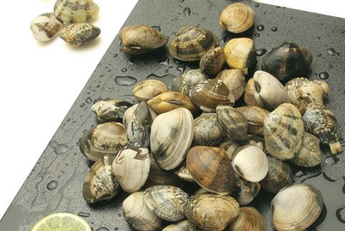 clams clams