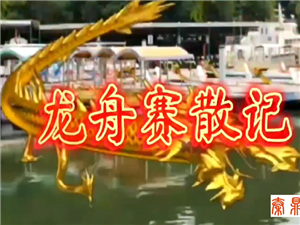 Ningbo Qinding सामग्री प्रौद्योगिकी कं, लिमिटेड ने हुनान चैंबर ऑफ कॉमर्स के 2022 ड्रैगन बोट रेस में भाग लिया