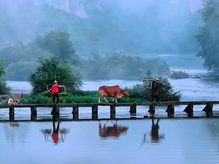 Công ty Qin Ding đã tổ chức hoạt động gắn kết đội nhóm cho nhân viên tại thành phố Xiandu, tỉnh Jinyun.