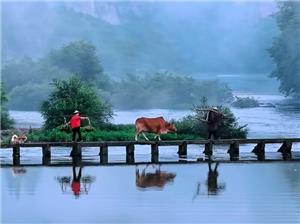 Công ty Qin Ding đã tổ chức hoạt động gắn kết đội nhóm cho nhân viên tại thành phố Xiandu, tỉnh Jinyun.