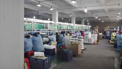 Social responsibilities