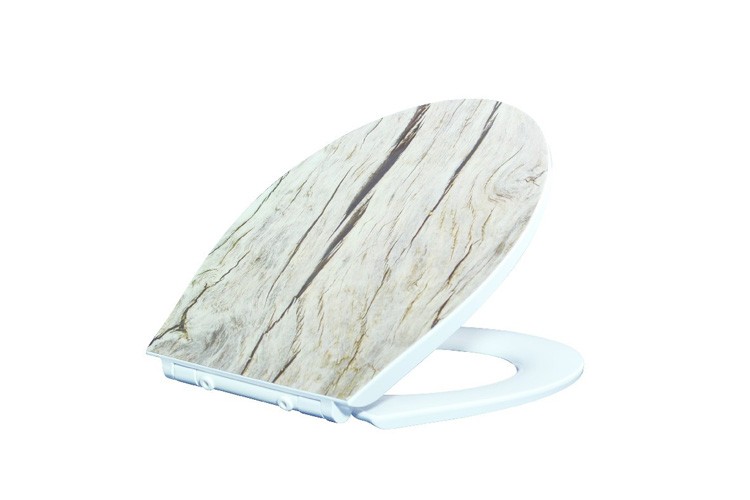 Some Knowledge About Toilet Seats