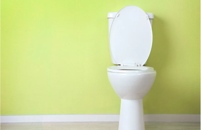 Toilet Seat Buying Guide