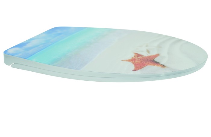 How to properly clean the surface of the toilet seat