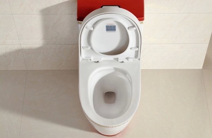 Что делать, если протекает сиденье унитаза