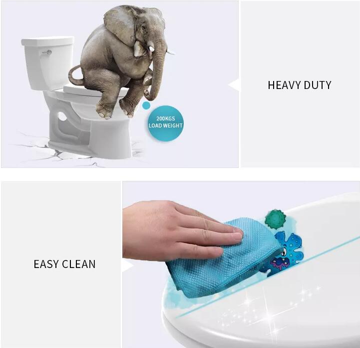 Precautions for acceptance of household toilet
