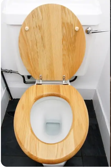 plastic toilet seat