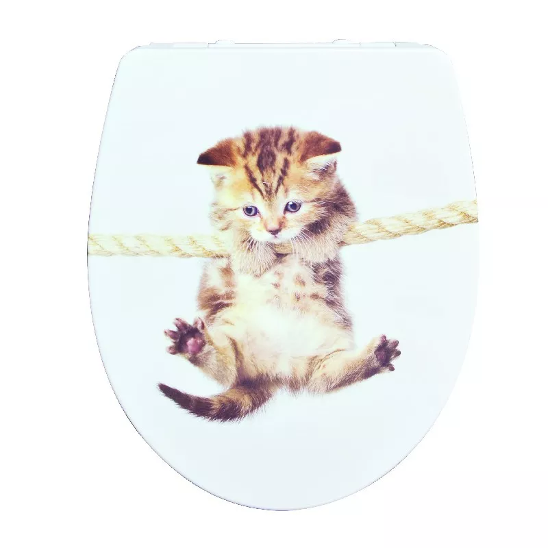 3 Tipps zur Auswahl eines Toilettensitzes