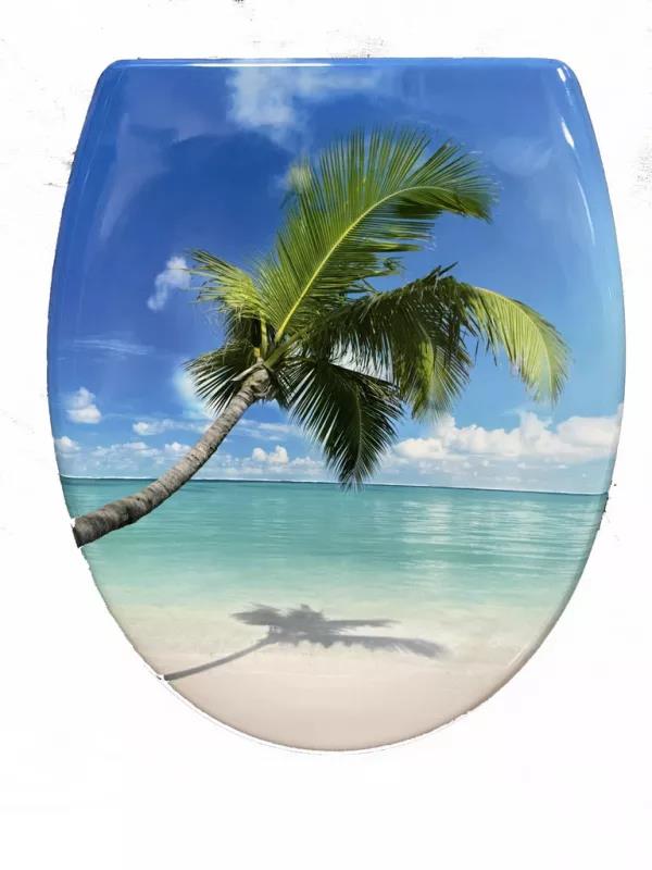 How to properly clean the toilet?