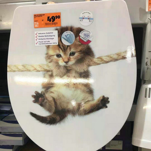 toilet seat